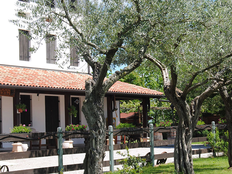 Dove dormire a Sacile: agriturismo La Pioppa - esterno