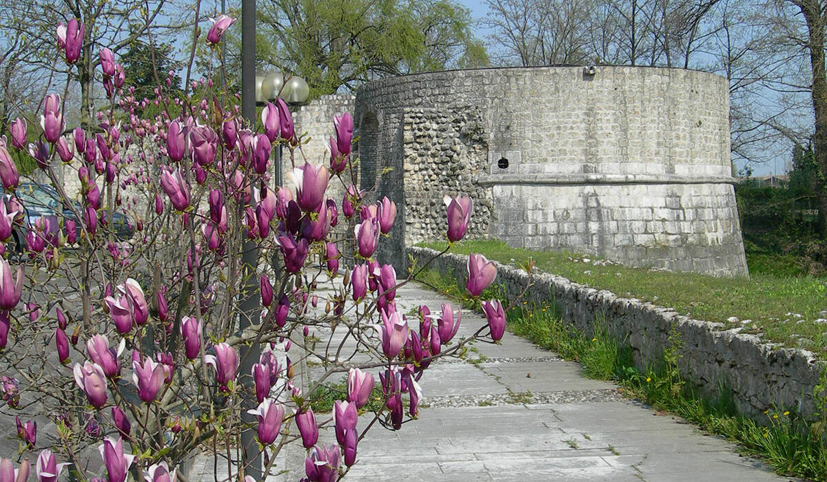 Foro-Boario-torrione